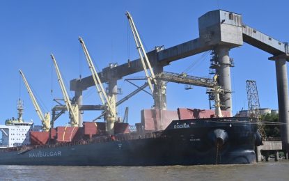 El campo ingresó un aluvión de dólares tras la baja de las retenciones a cero y marcó uno de los mejores meses de la historia