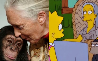 Murió Jane Goodall: el día que “la mujer de los chimpancés” apareció en Los Simpsons
