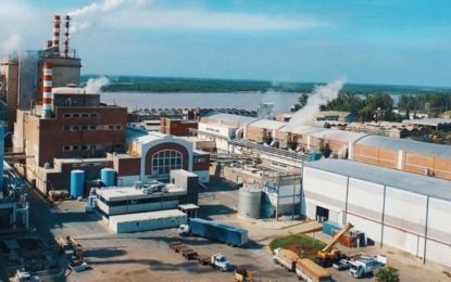 Preocupación en Celulosa Argentina: tras venderse por US$ 1, sigue parada y es incierta su reactivación