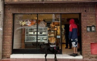 Tres chicas que volvían de bailar quisieron robar una panadería en Córdoba: la encargada las echó a los cuchillazos