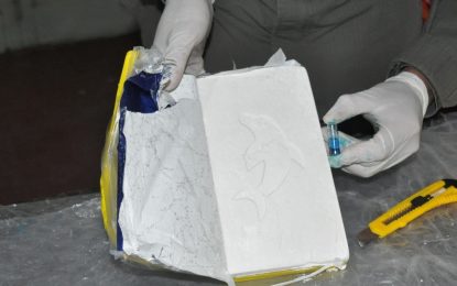 Investigan otra muerte en Neuquén por posible cocaína adulterada y La Pampa se sumó al alerta