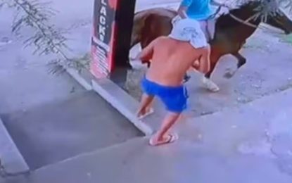 Córdoba: querían robar un maxikiosco, la vendedora los sacó corriendo y terminaron escapando a caballo