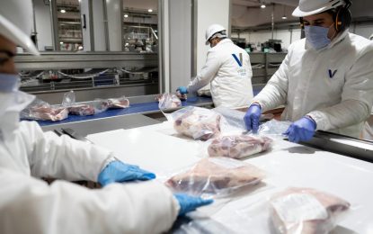 Impacto en la ganadería: China decidió imponer una cuota y aranceles a la carne argentina