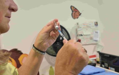 Alerta por la gripe H3N2: avanza en Sudamérica y estudian si ya circula en la Argentina