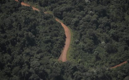 Una provincia que tiene el 90% de su línea limítrofe con otros países fue a la Justicia para frenar la venta sin limitaciones de tierras a extranjeros