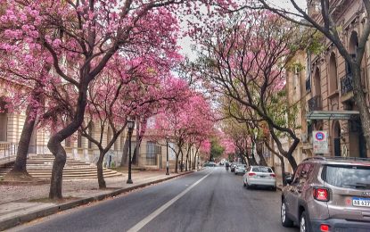 Santa Fe ya tiene ley contra los «trapitos»: trabajo comunitario y hasta 80 días de arresto