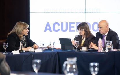 Bullrich se diferencia de Milei: votará en contra del pliego de la fiscal del caso Chocobar