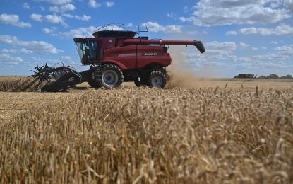 Brasil importará un volumen récord de trigo y la Argentina ve una gran oportunidad