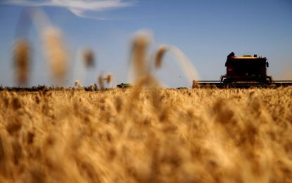 Arranca la cosecha de trigo en Santiago del Estero con buenas expectativas y la mirada puesta en el calor